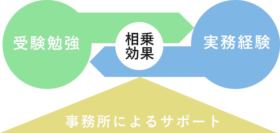 朝日税理士法人城南支社採用 受験との両立